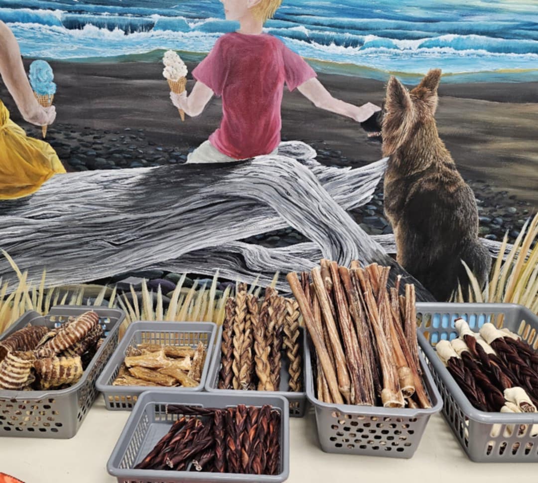 Colorful assortment of dog treats on shelves at East Coast Pets